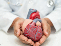 Vitamin D Dukung Kesehatan Jantung dan Cegah Serangan