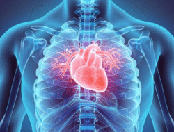 Vitamin D Bisa Turunkan Risiko Serangan Jantung