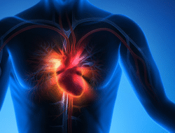 Vitamin D dan Pencegahan Serangan Jantung